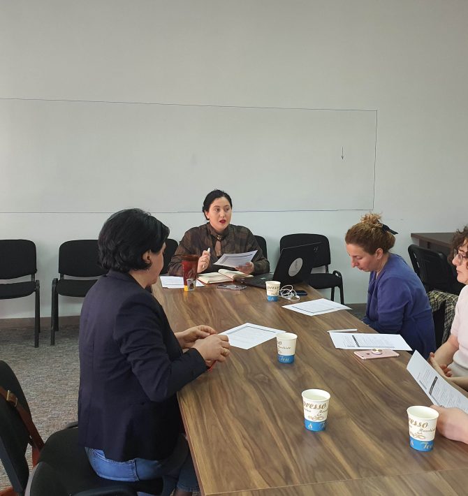 Working Meeting with the Caregiver-pedagogue/SRP focus group of SDSURF Experts