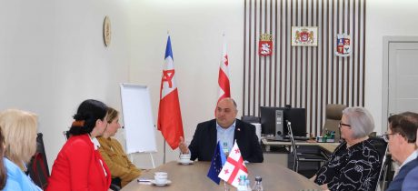 The mayor of Dedoplistskaro Conducted a Fruitful Meeting with SDSU Experts