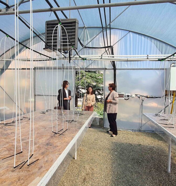 “Smart Greenhouse” and Drone Laboratories: IIATEP Project from CIF for the Modernization of Georgian Agro-Education
